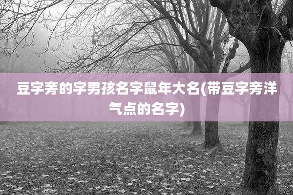 豆字旁的字男孩名字鼠年大名(带豆字旁洋气点的名字)