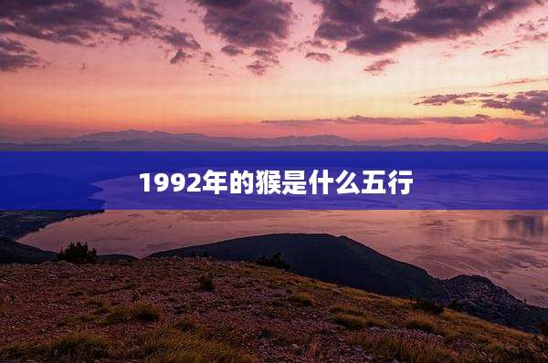 1992年的猴是什么五行