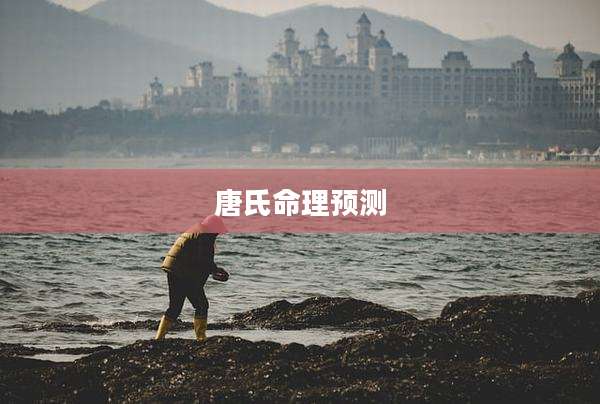 唐氏命理预测