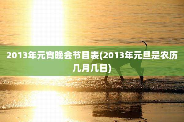 2013年元宵晚会节目表(2013年元旦是农历几月几日)