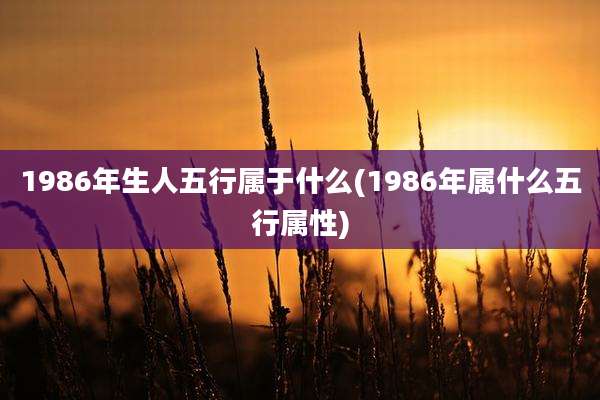1986年生人五行属于什么(1986年属什么五行属性)