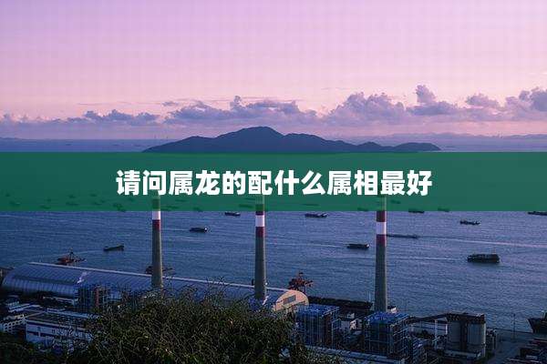 请问属龙的配什么属相最好