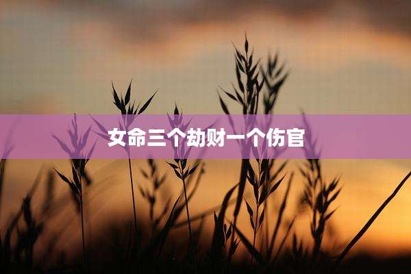 女命三个劫财一个伤官