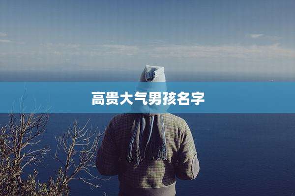 高贵大气男孩名字