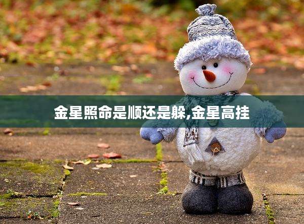 金星照命是顺还是躲,金星高挂