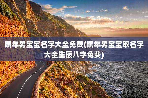 鼠年男宝宝名字大全免费(鼠年男宝宝取名字大全生辰八字免费)