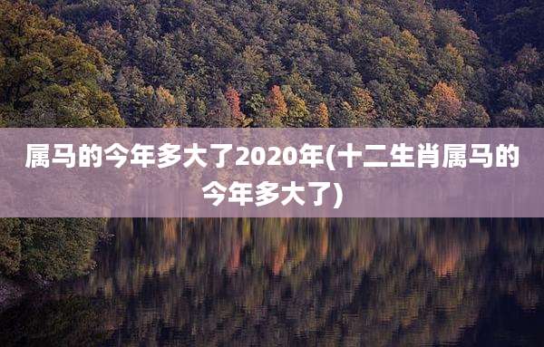 属马的今年多大了2020年(十二生肖属马的今年多大了)