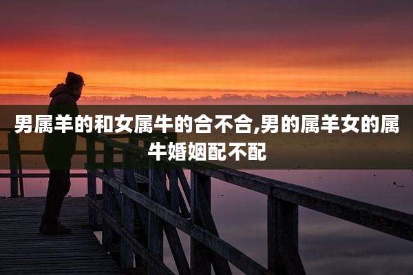 男属羊的和女属牛的合不合,男的属羊女的属牛婚姻配不配