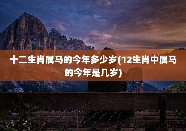 十二生肖属马的今年多少岁(12生肖中属马的今年是几岁)