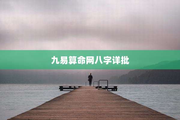 九易算命网八字详批