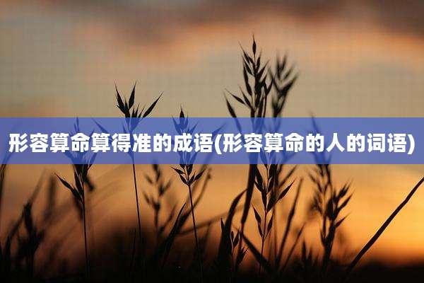 形容算命算得准的成语(形容算命的人的词语)