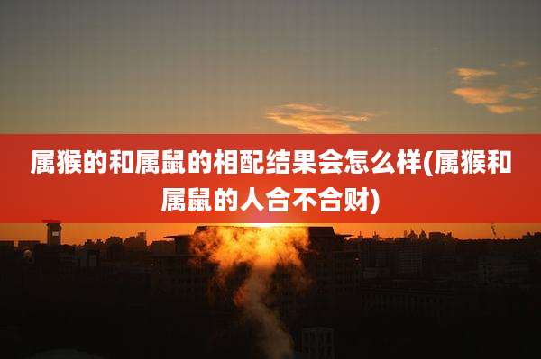 属猴的和属鼠的相配结果会怎么样(属猴和属鼠的人合不合财)