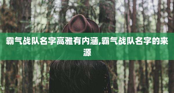 霸气战队名字高雅有内涵,霸气战队名字的来源
