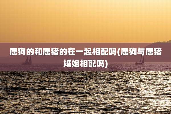 属狗的和属猪的在一起相配吗(属狗与属猪婚姻相配吗)