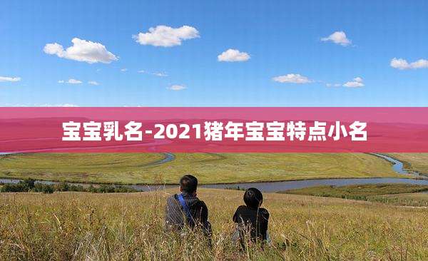 宝宝乳名-2021猪年宝宝特点小名