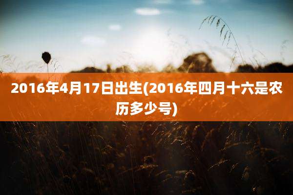 2016年4月17日出生(2016年四月十六是农历多少号)