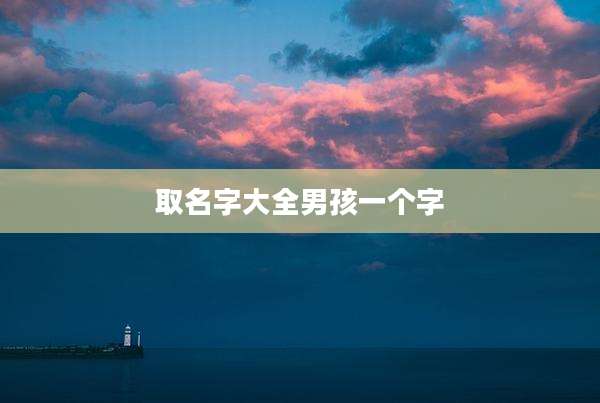 取名字大全男孩一个字