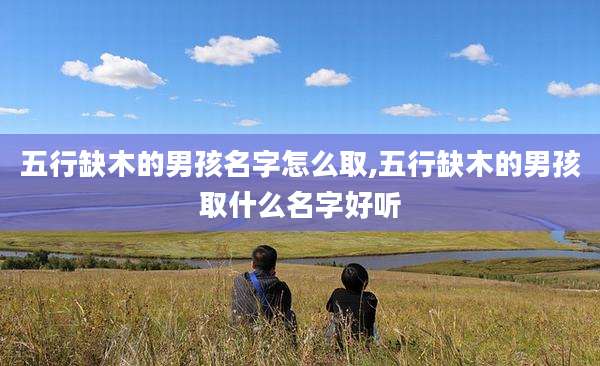 五行缺木的男孩名字怎么取,五行缺木的男孩取什么名字好听