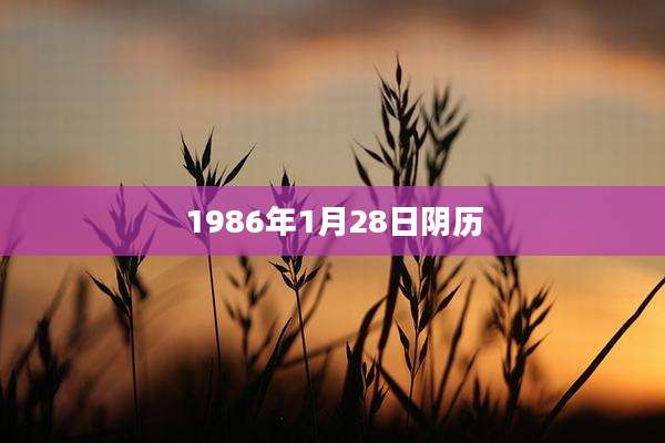 1986年1月28日阴历