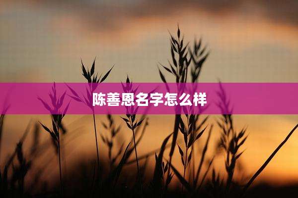 陈善恩名字怎么样