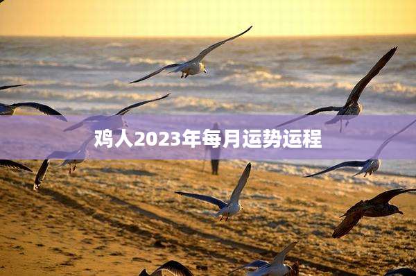 鸡人2023年每月运势运程
