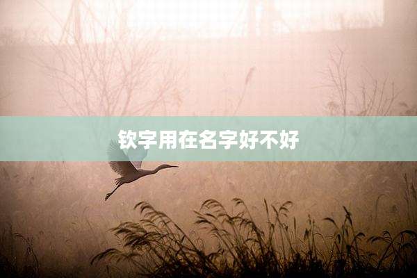 钦字用在名字好不好