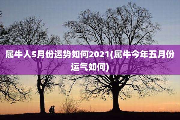 属牛人5月份运势如何2021(属牛今年五月份运气如何)