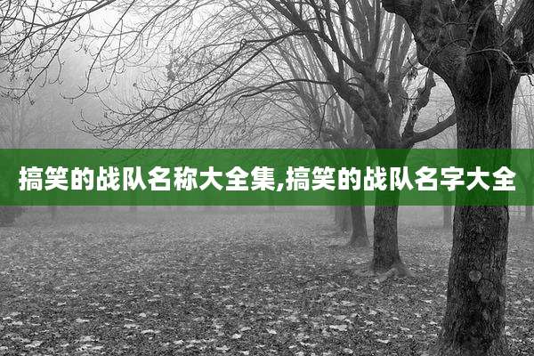 搞笑的战队名称大全集,搞笑的战队名字大全