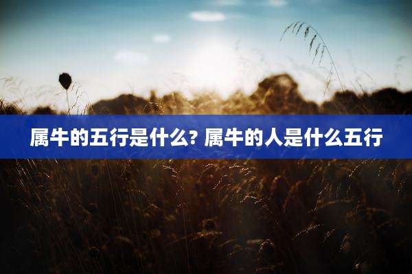属牛的五行是什么? 属牛的人是什么五行