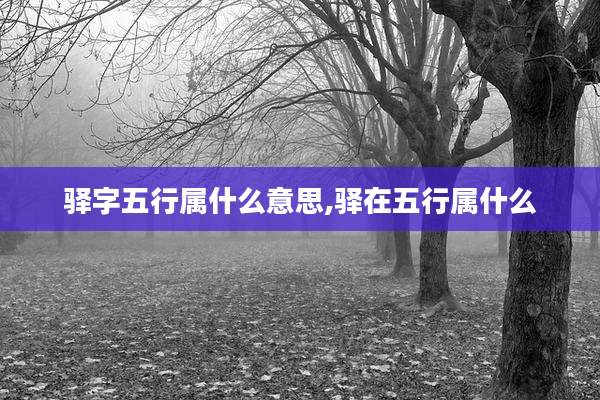 驿字五行属什么意思,驿在五行属什么