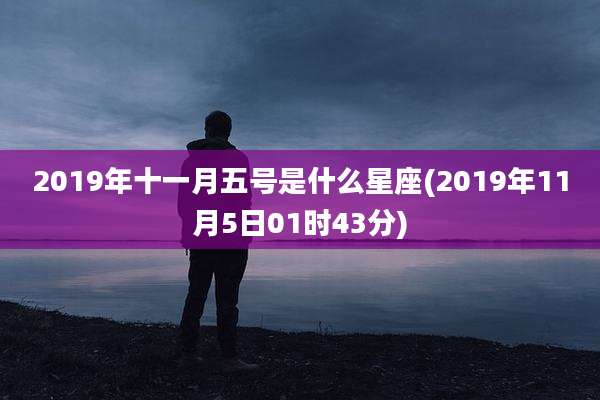 2019年十一月五号是什么星座(2019年11月5日01时43分)