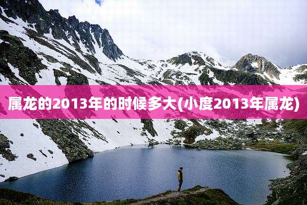 属龙的2013年的时候多大(小度2013年属龙)