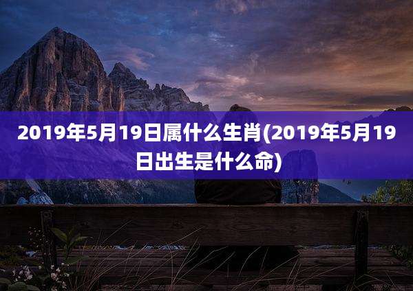 2019年5月19日属什么生肖(2019年5月19日出生是什么命)