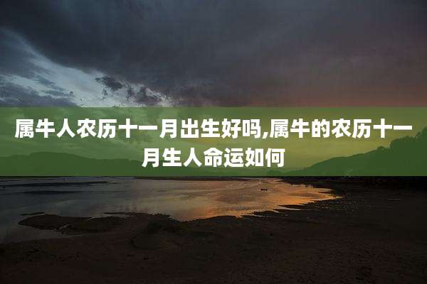 属牛人农历十一月出生好吗,属牛的农历十一月生人命运如何
