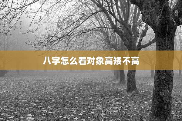 八字怎么看对象高矮不高