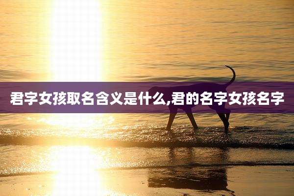 君字女孩取名含义是什么,君的名字女孩名字