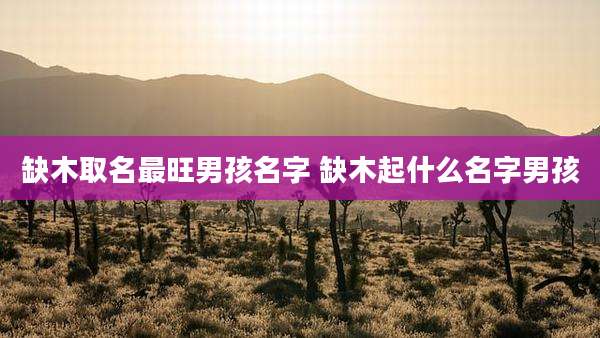 缺木取名最旺男孩名字 缺木起什么名字男孩