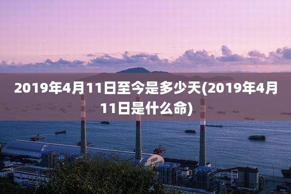 2019年4月11日至今是多少天(2019年4月11日是什么命)