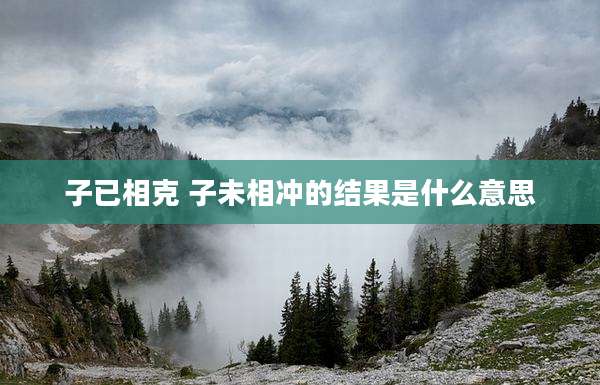 子已相克 子未相冲的结果是什么意思