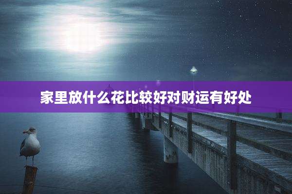 家里放什么花比较好对财运有好处