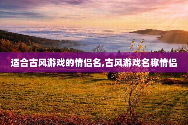 适合古风游戏的情侣名,古风游戏名称情侣