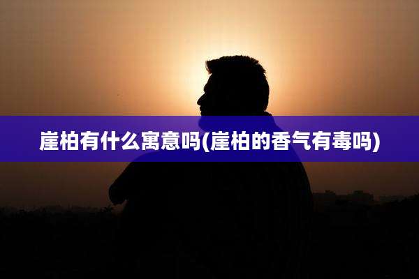 崖柏有什么寓意吗(崖柏的香气有毒吗)