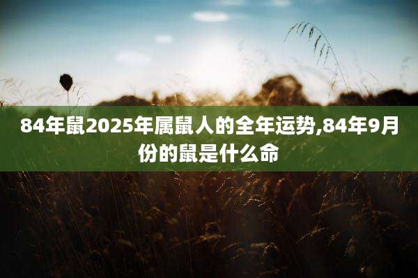 84年鼠2025年属鼠人的全年运势,84年9月份的鼠是什么命