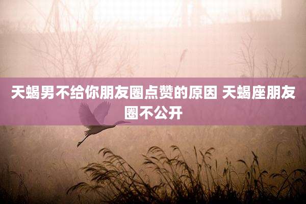 天蝎男不给你朋友圈点赞的原因 天蝎座朋友圈不公开
