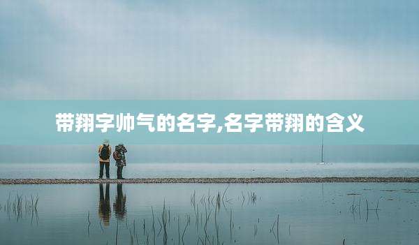 带翔字帅气的名字,名字带翔的含义