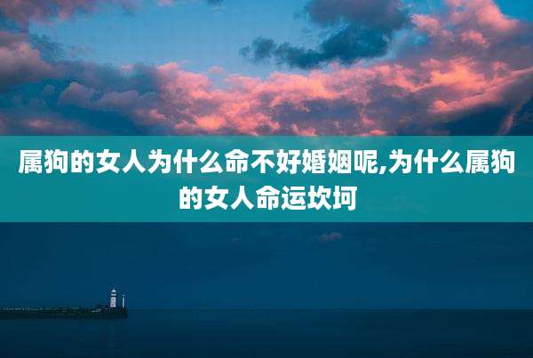 属狗的女人为什么命不好婚姻呢,为什么属狗的女人命运坎坷