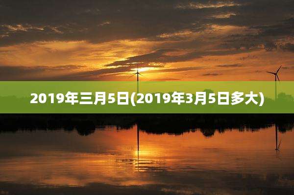 2019年三月5日(2019年3月5日多大)