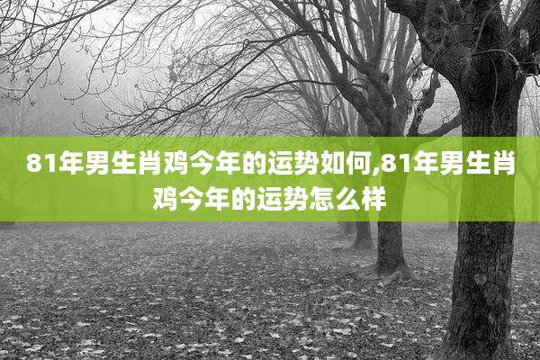 81年男生肖鸡今年的运势如何,81年男生肖鸡今年的运势怎么样