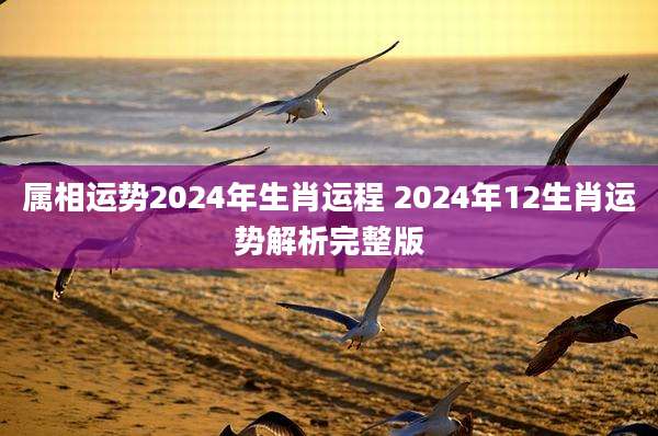属相运势2024年生肖运程 2024年12生肖运势解析完整版