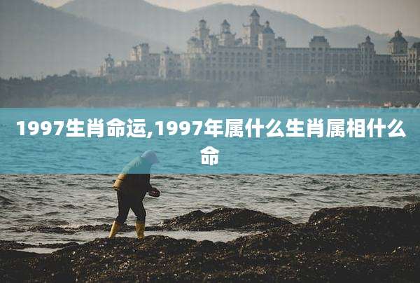 1997生肖命运,1997年属什么生肖属相什么命